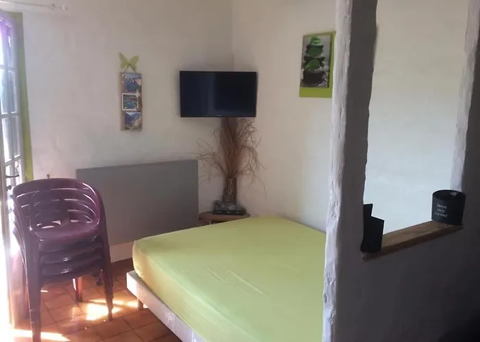 Suarella * プロプリアノ