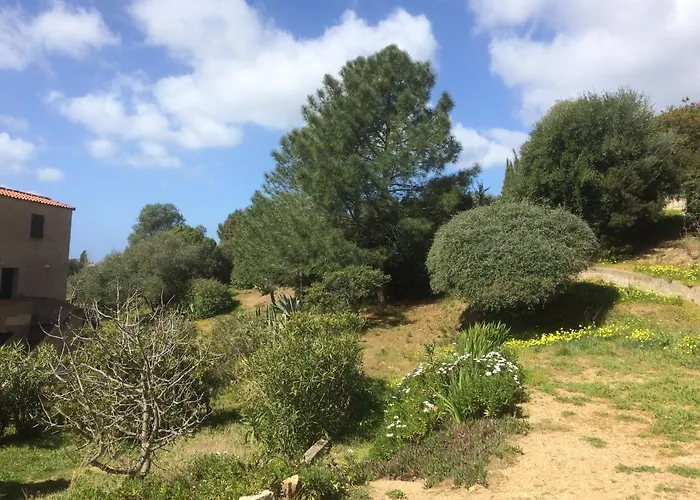 Suarella アパート